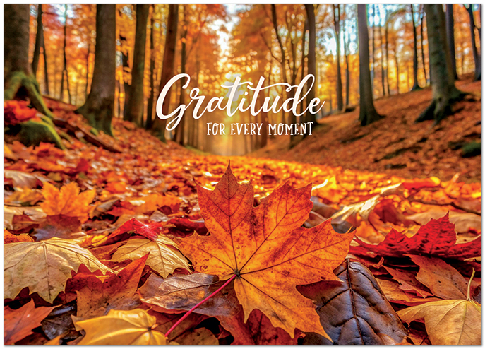 Moments of Gratitude H3463D-A